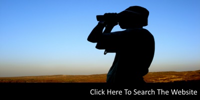 Search This Website